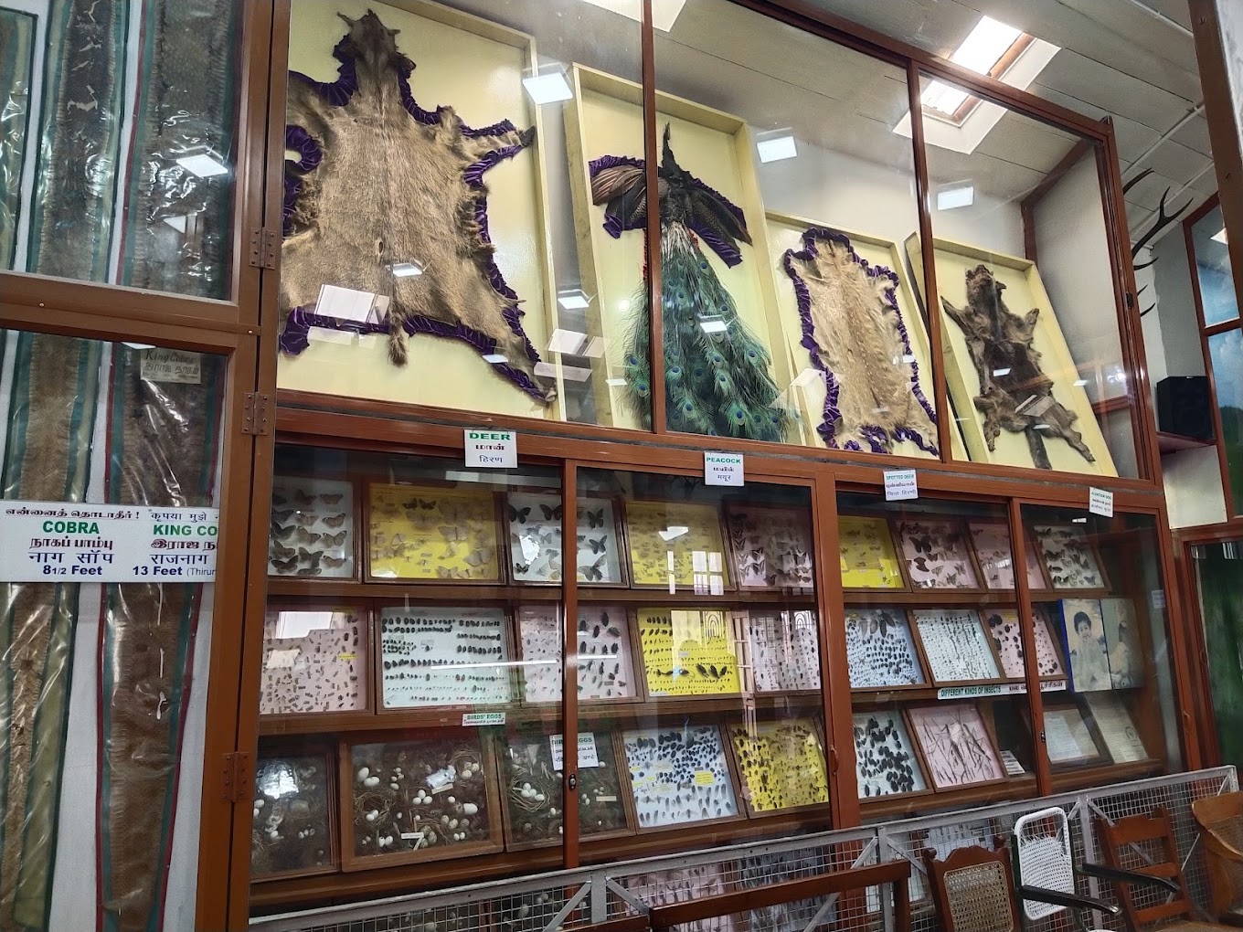 Natural History Museum